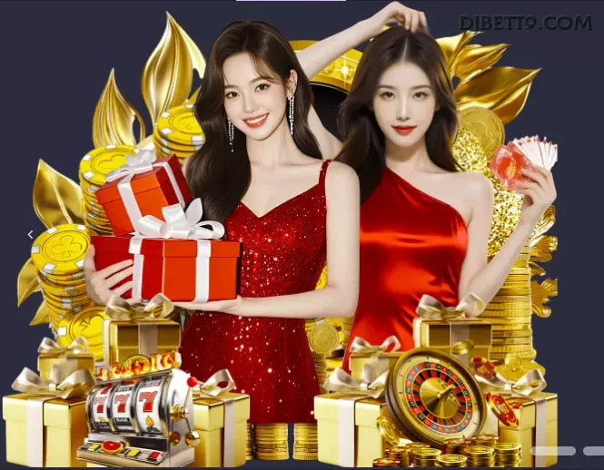 Interface Premium djbet