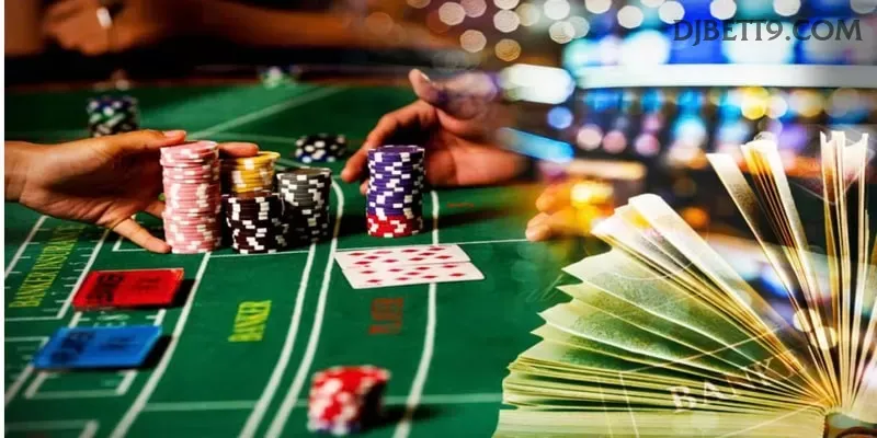 Experiência VIP djbet